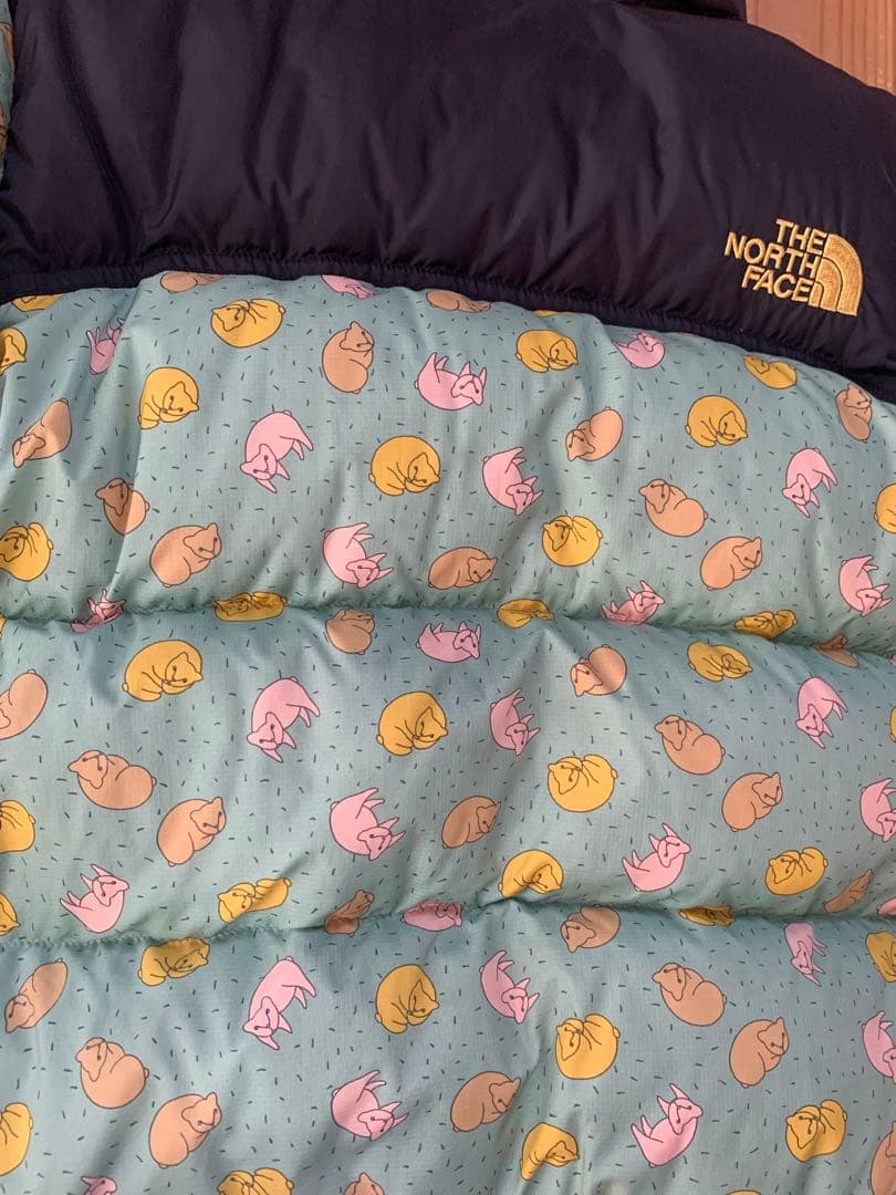 【お値下げ】THE NORTH FACE ミナペルホネン　ダウンジャケットねこ柄