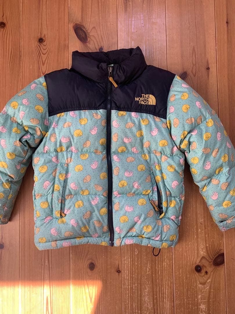 【お値下げ】THE NORTH FACE ミナペルホネン　ダウンジャケットねこ柄