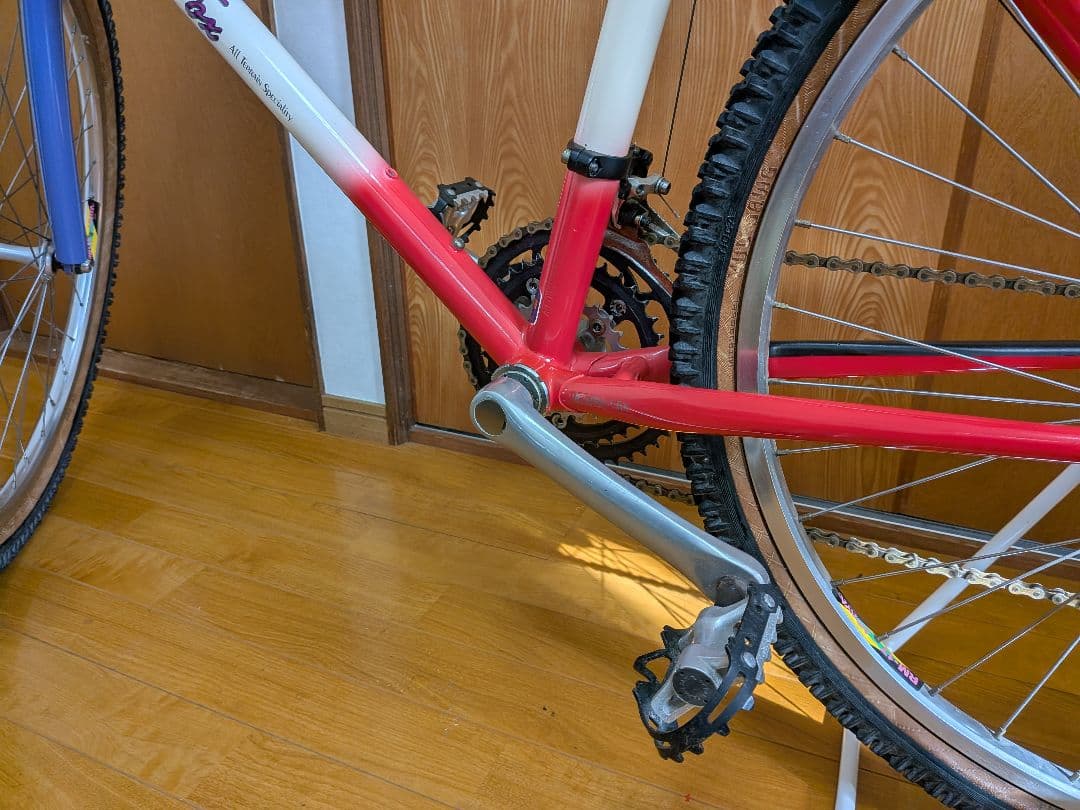 【'92ヴィンテージMTB】ARAYA MuddyFox MF26PRO-CRA