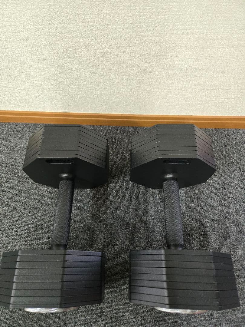 引き取り限定 可変式ダンベル+マルチポジションベンチ+ダンベルミット