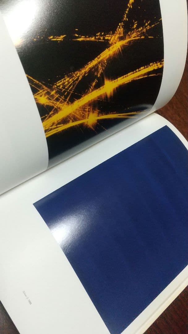 Wolfgang Tillmans Freischwimmer 写真展 図録