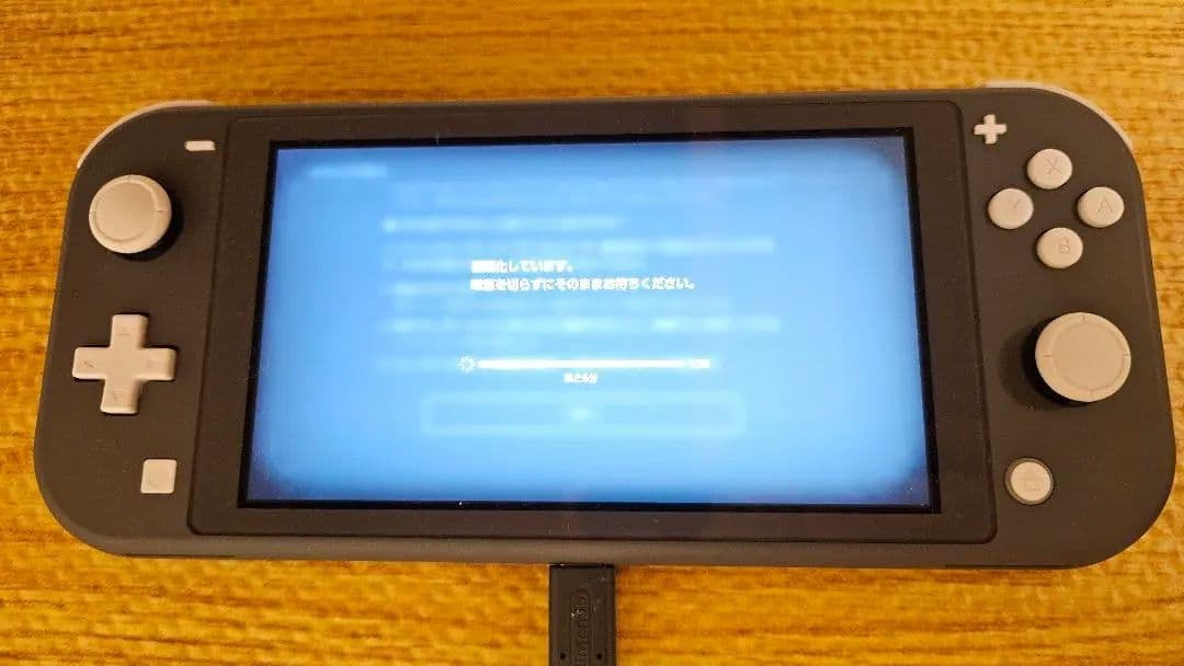 Nintendo Switch Lite グレー 充電器セット