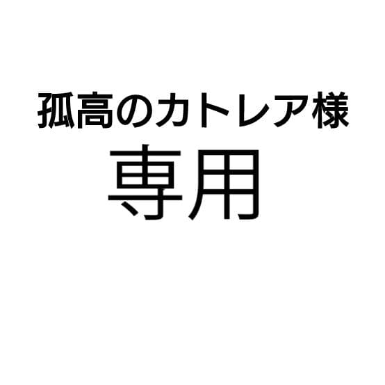 孤高のカトレア