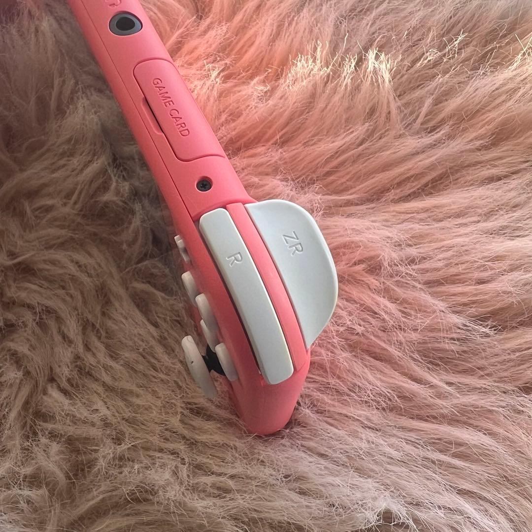 【極美品】Nintendo Switch Lite 本体+公式ケース コーラル