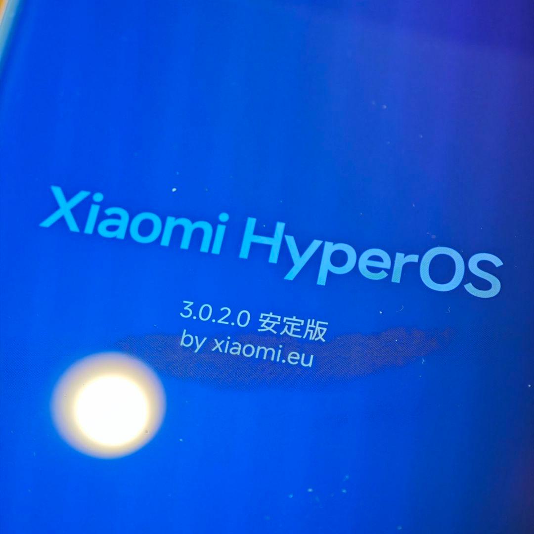 h*y様 Xiaomi 12s Ultra BT交換済 BLU済 EU Hype