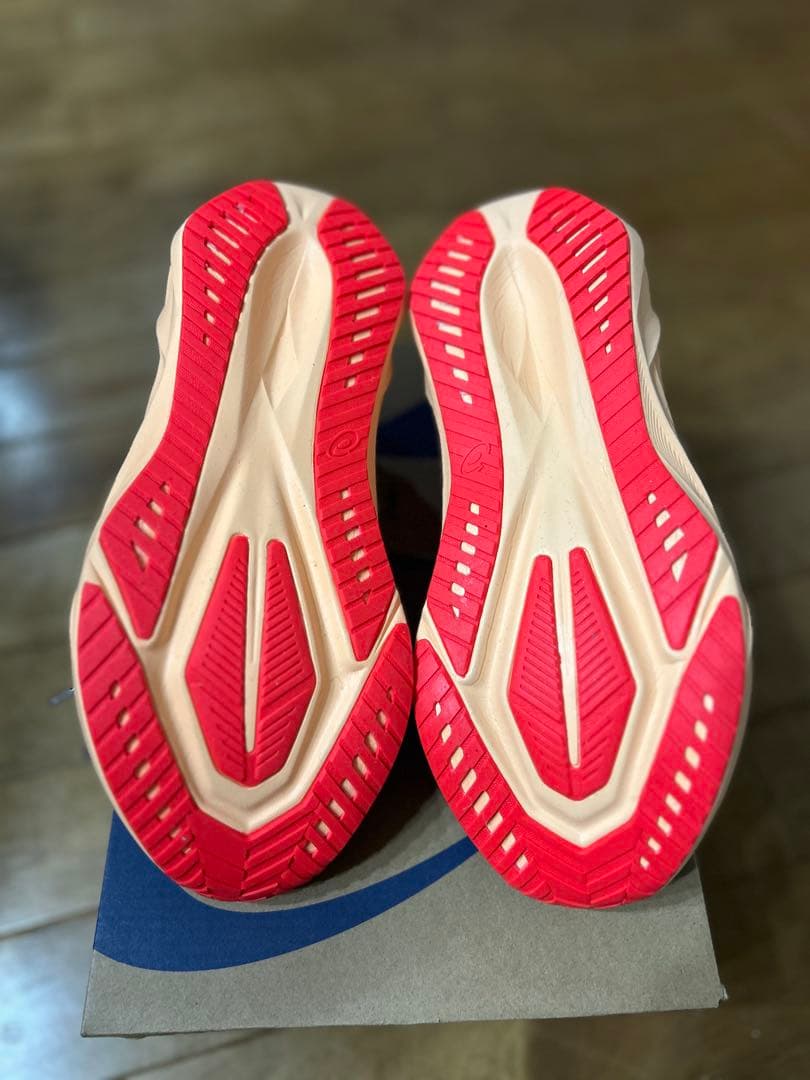 ASICS NOVABLAST 5 25.0cm ワイド