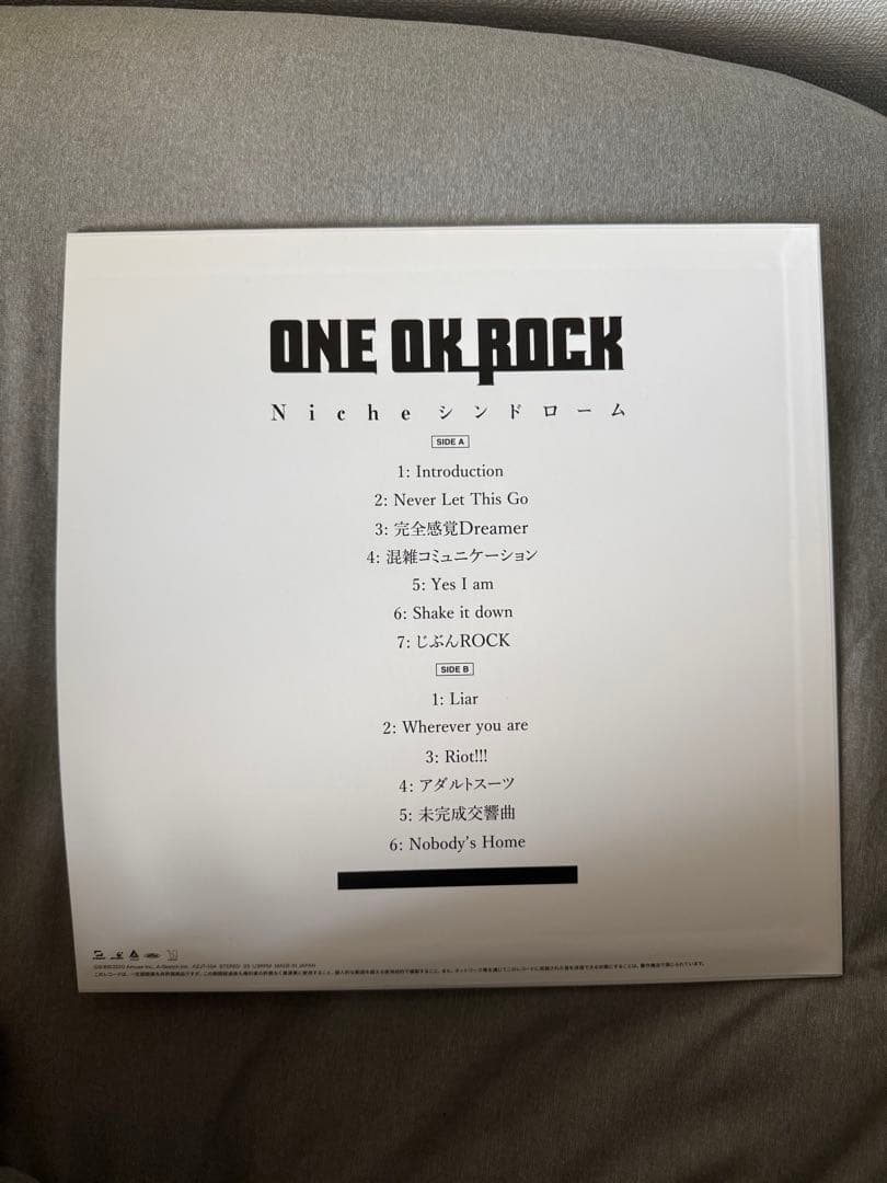 ONE OK ROCK Nicheシンドローム レコード