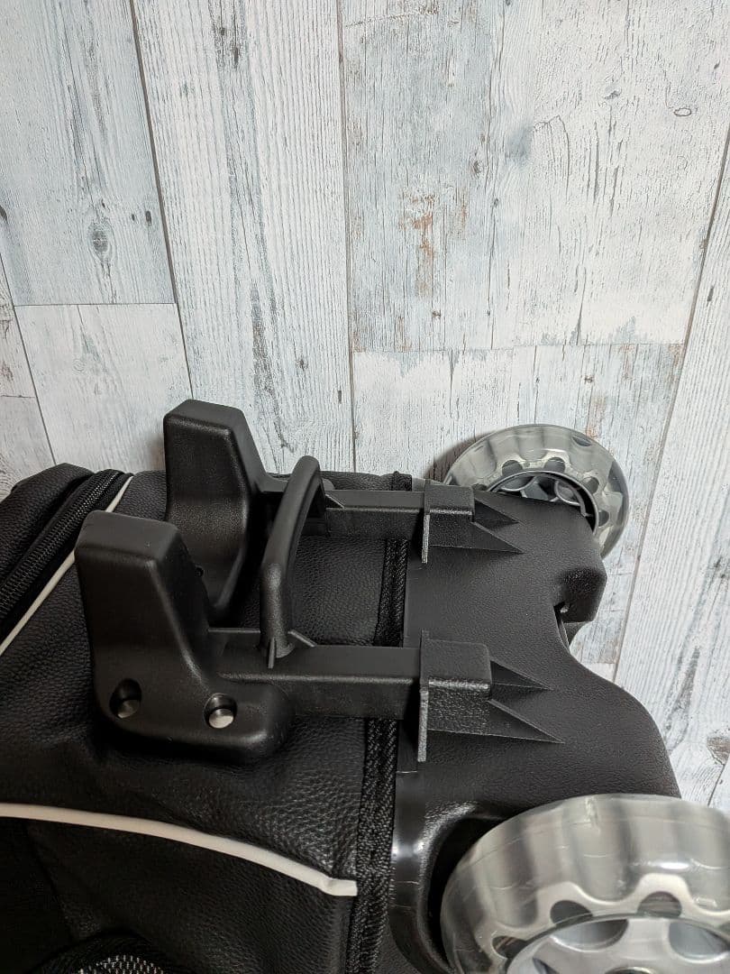 新品 Team麗 シングル + 2ボールバッグ 姫路麗