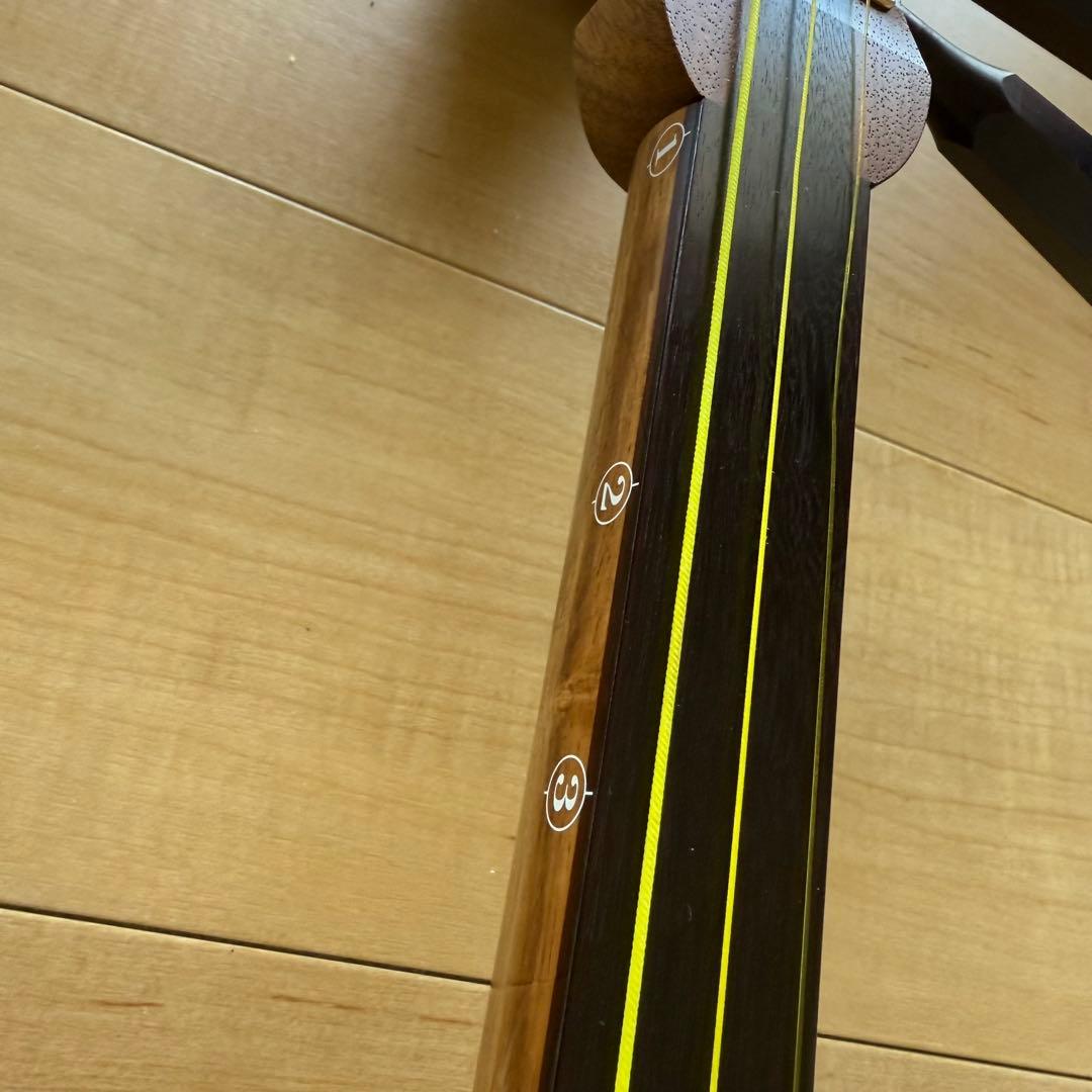 津軽三味線本体 バチ　ケース付き