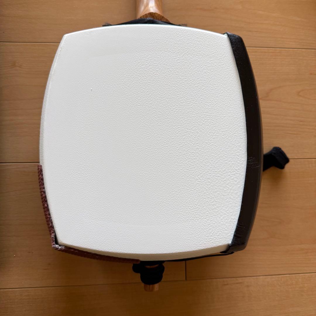 津軽三味線本体 バチ　ケース付き