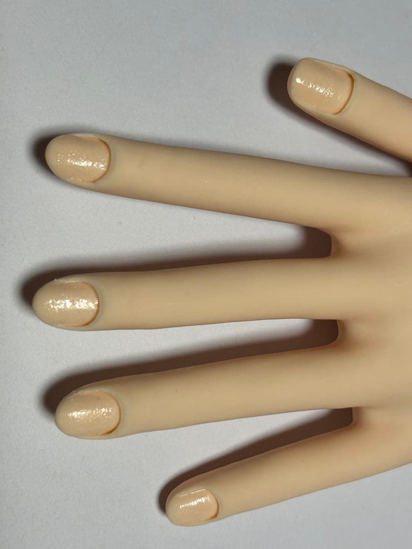 JNCEネイリスト検定認定モデルハンド（本番用）