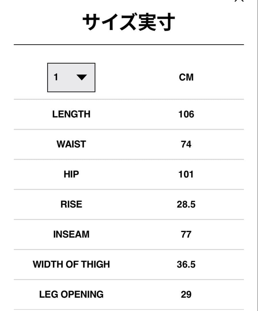 ★sacai Suiting Pants★