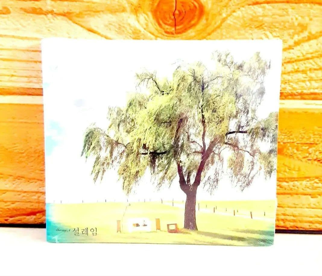 セルCD　シークレットガーデン関連　ヒョンビン　GIRL'S DAY　KARA