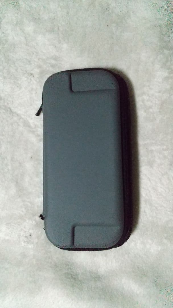 Nintendo Switch Lite ターコイズケースアダプターセット動作品