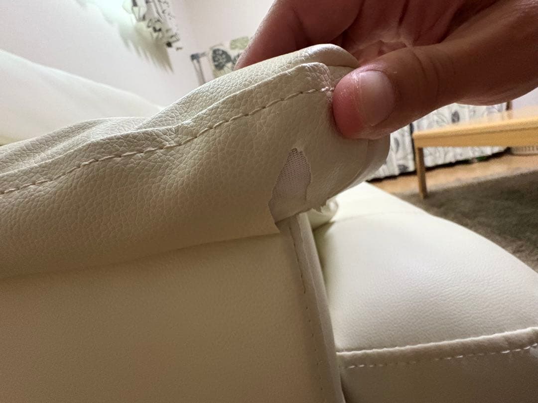 キャッツ3 ニトリ3人掛けソファ　Nシールド