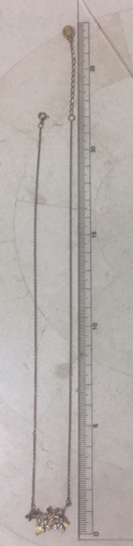 アッシュぺーフランスのブランド アレックスモンローのネックレス(プチルビー入り)