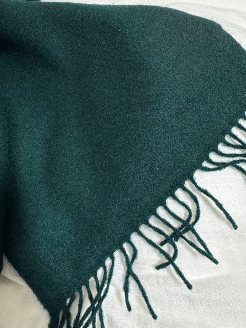 HERMES シマウマ模様 マフラー