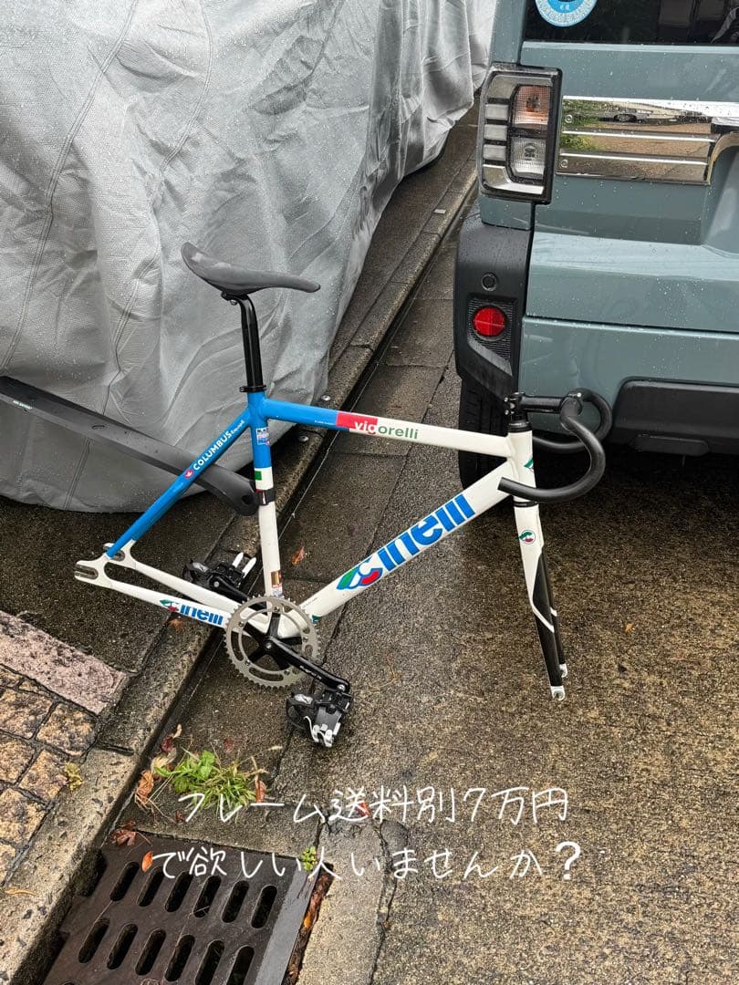 stokedvigorelli 2009 フレームセット