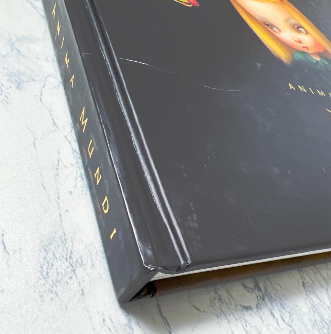 【初版】MARK RYDEN 画集「ANIMA MUNDI」マーク・ライデン