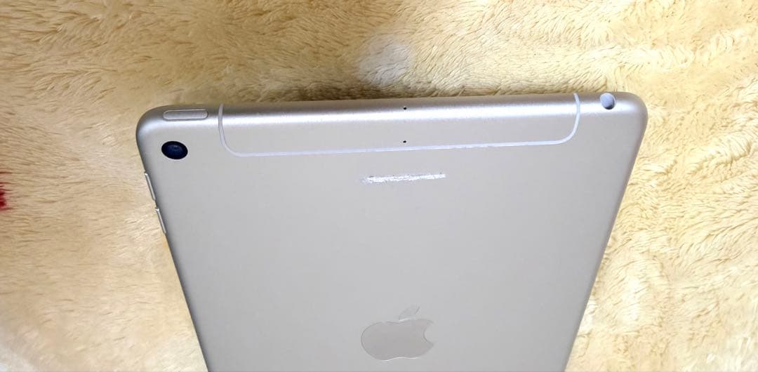 Apple iPad mini第5世代　256GB SIMフリー