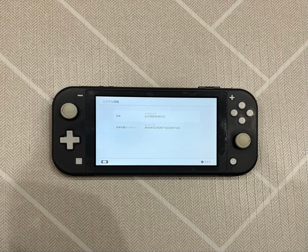 Nintendo switch Lite ニンテンドースイッチライト