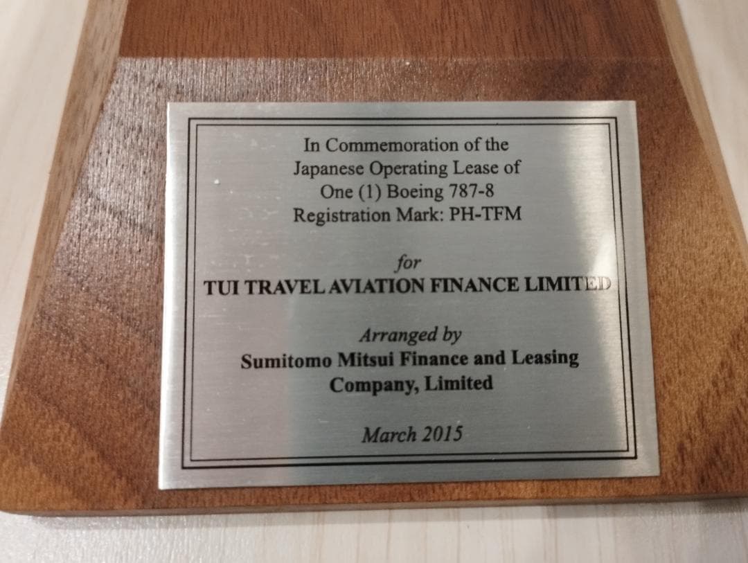 航空機・ヘリコプター PacMin B787-8 PH-TFM