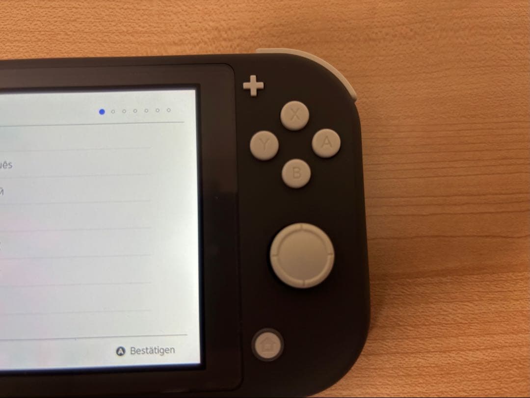 Nintendo Switch Light本体(グレー) あつまれどうぶつの森