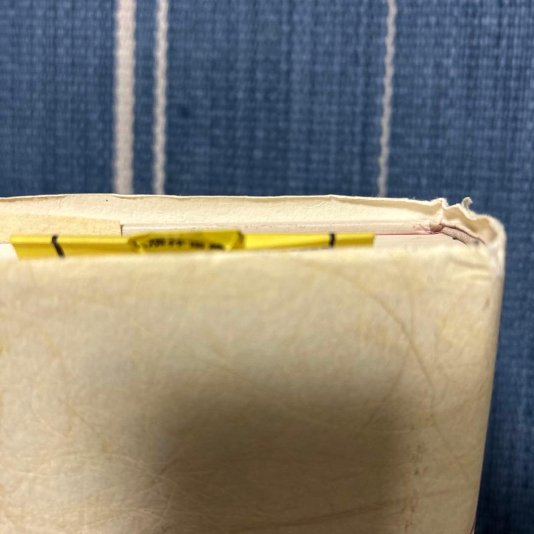 皮膚-自我 ディディエ・アンジュー