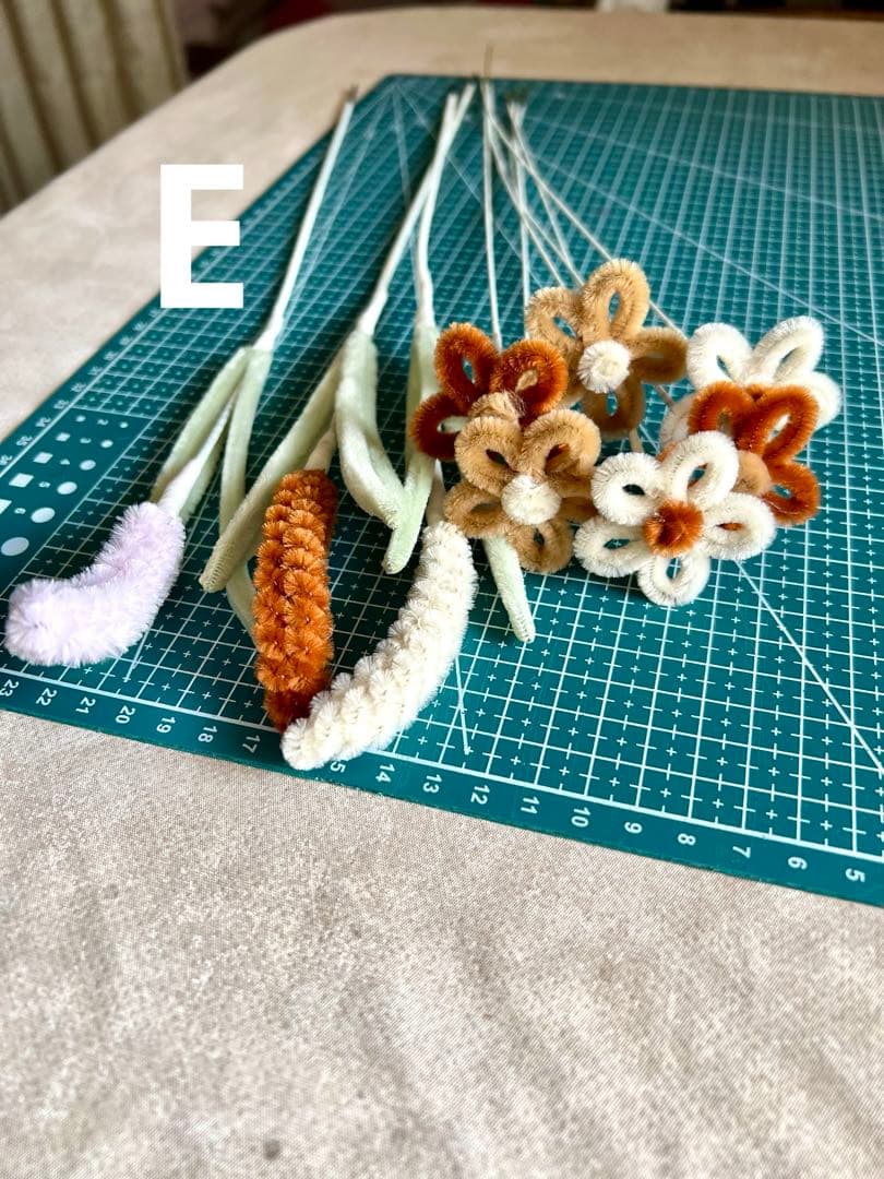 モールフラワー