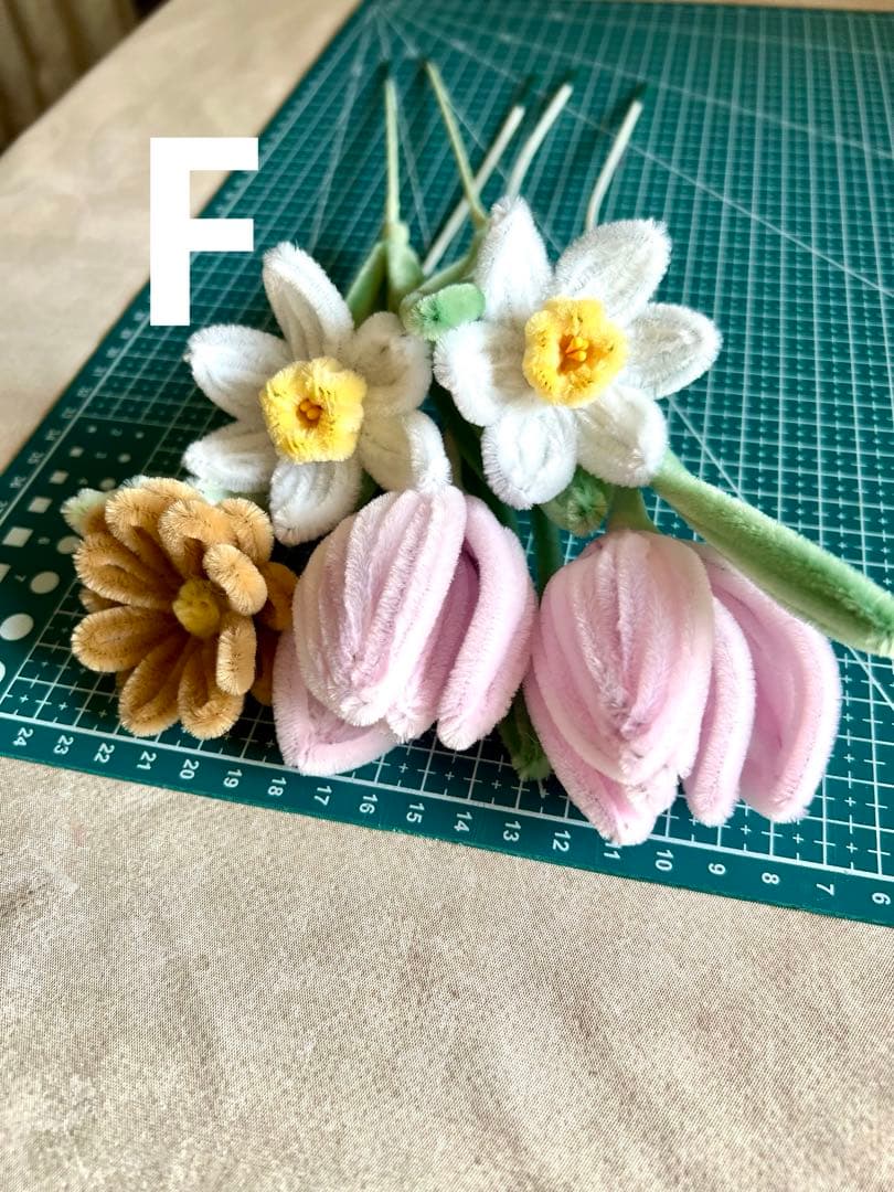 モールフラワー