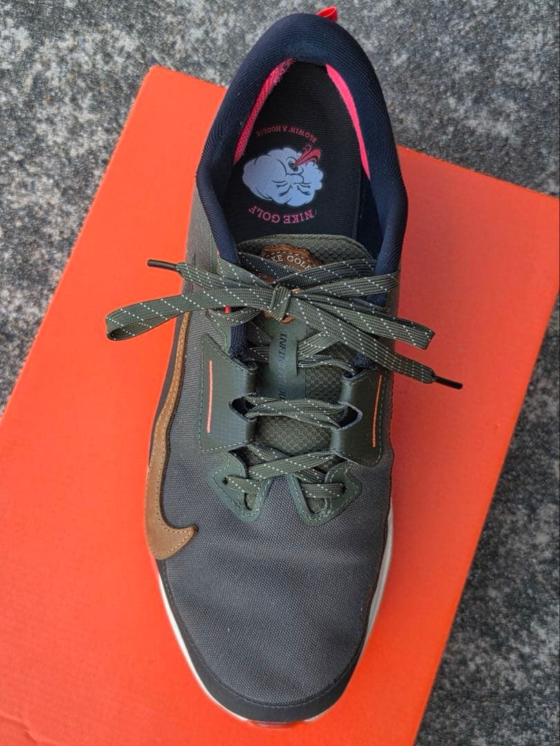 NIKE エアズームインフィニティツアー 2 NRG