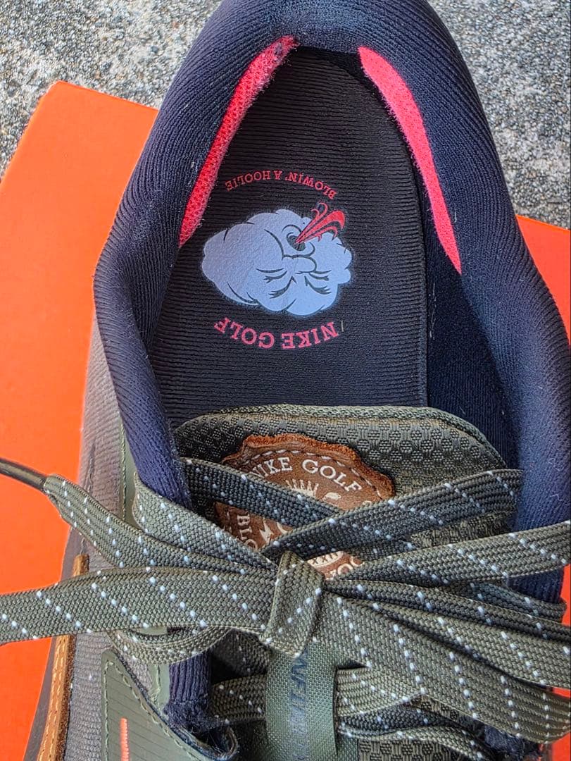 NIKE エアズームインフィニティツアー 2 NRG