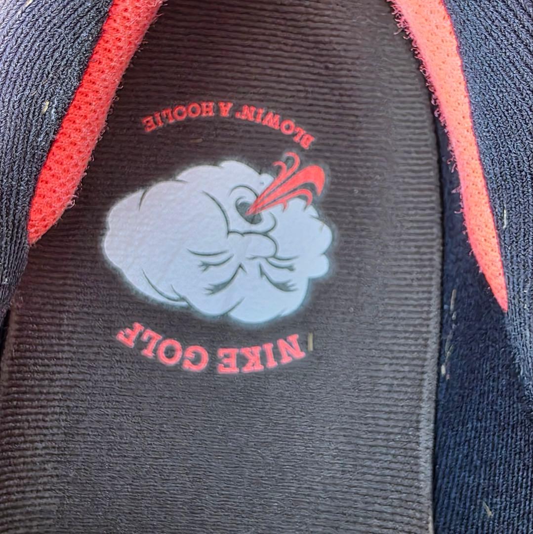 NIKE エアズームインフィニティツアー 2 NRG