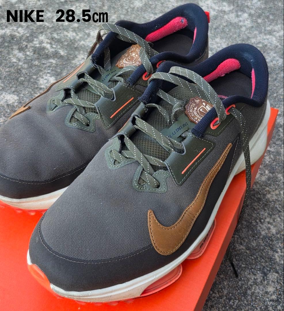 NIKE エアズームインフィニティツアー 2 NRG