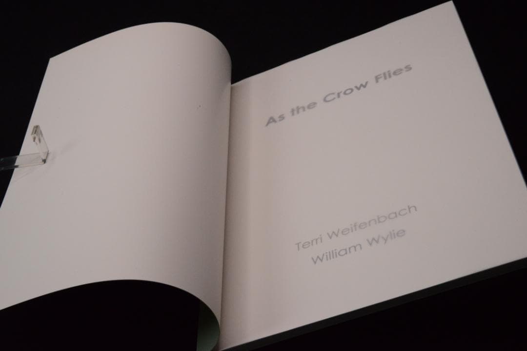 As the Crow Flies:Terri Weifenbac★値下げました