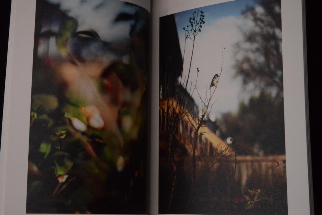 As the Crow Flies:Terri Weifenbac★値下げました