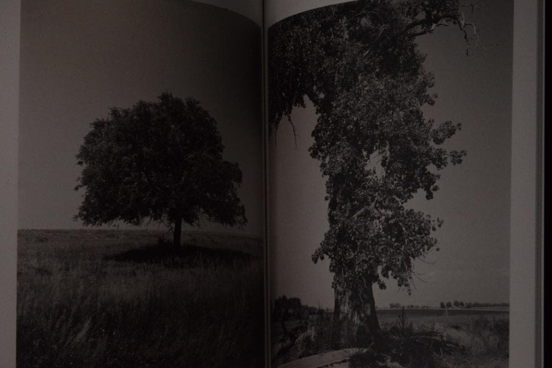 As the Crow Flies:Terri Weifenbac★値下げました