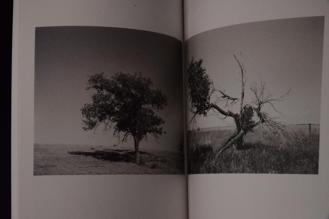 As the Crow Flies:Terri Weifenbac★値下げました