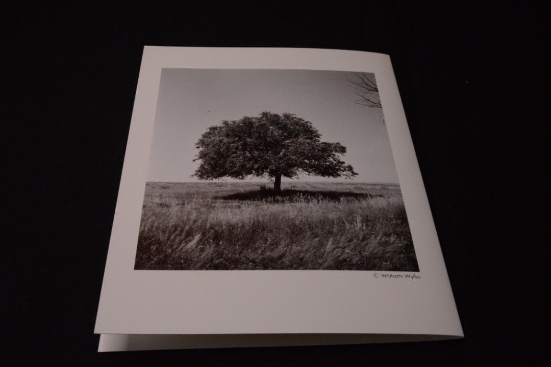 As the Crow Flies:Terri Weifenbac★値下げました