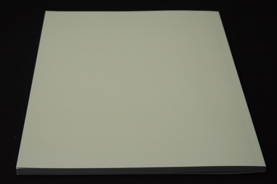 As the Crow Flies:Terri Weifenbac★値下げました