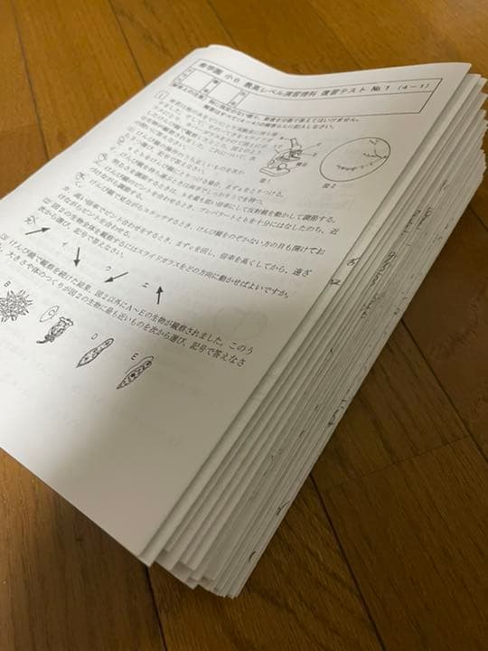 希学園 小6 最レ理科　テキスト復テセット