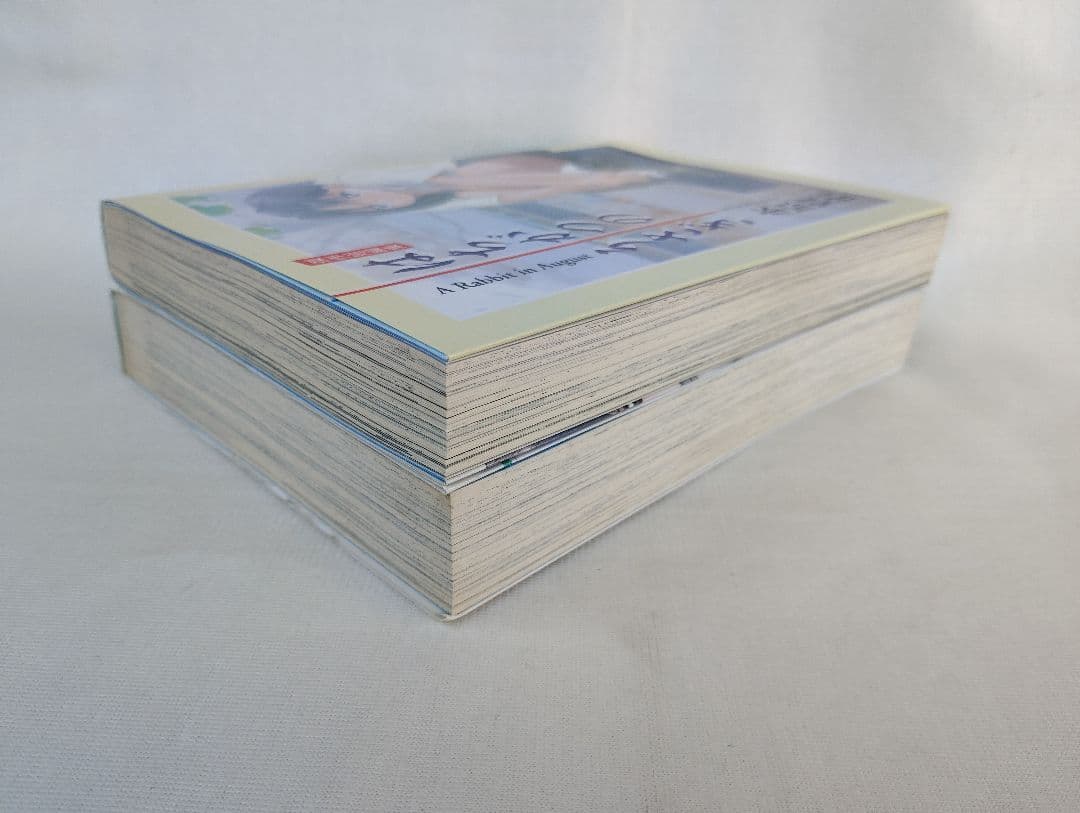 傑作短編集はちがつのうさぎ・恋ヶ窪スケッチブック/水原賢治　大都社