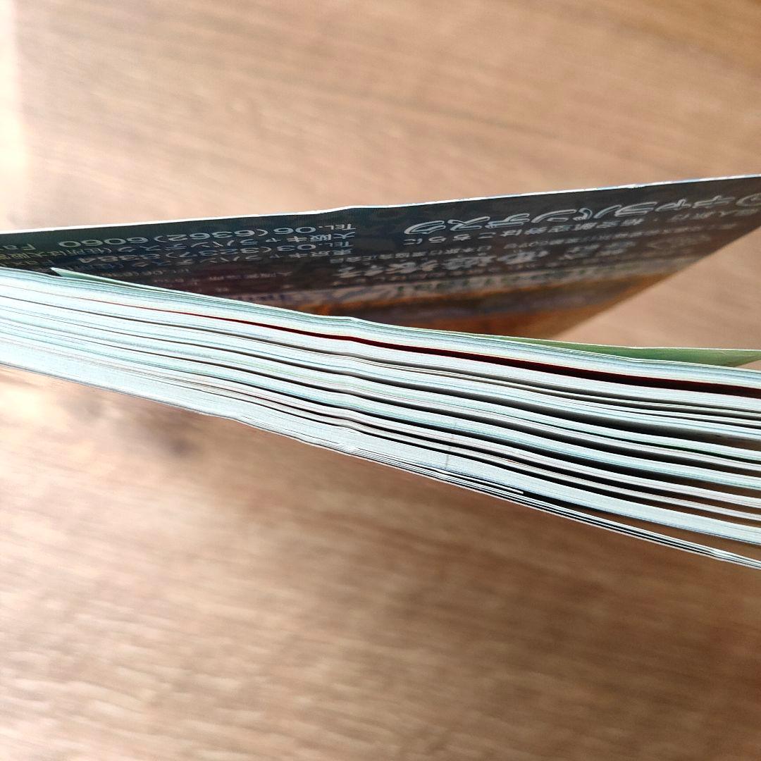 パキスタン 2007～2008年版　地球の歩き方