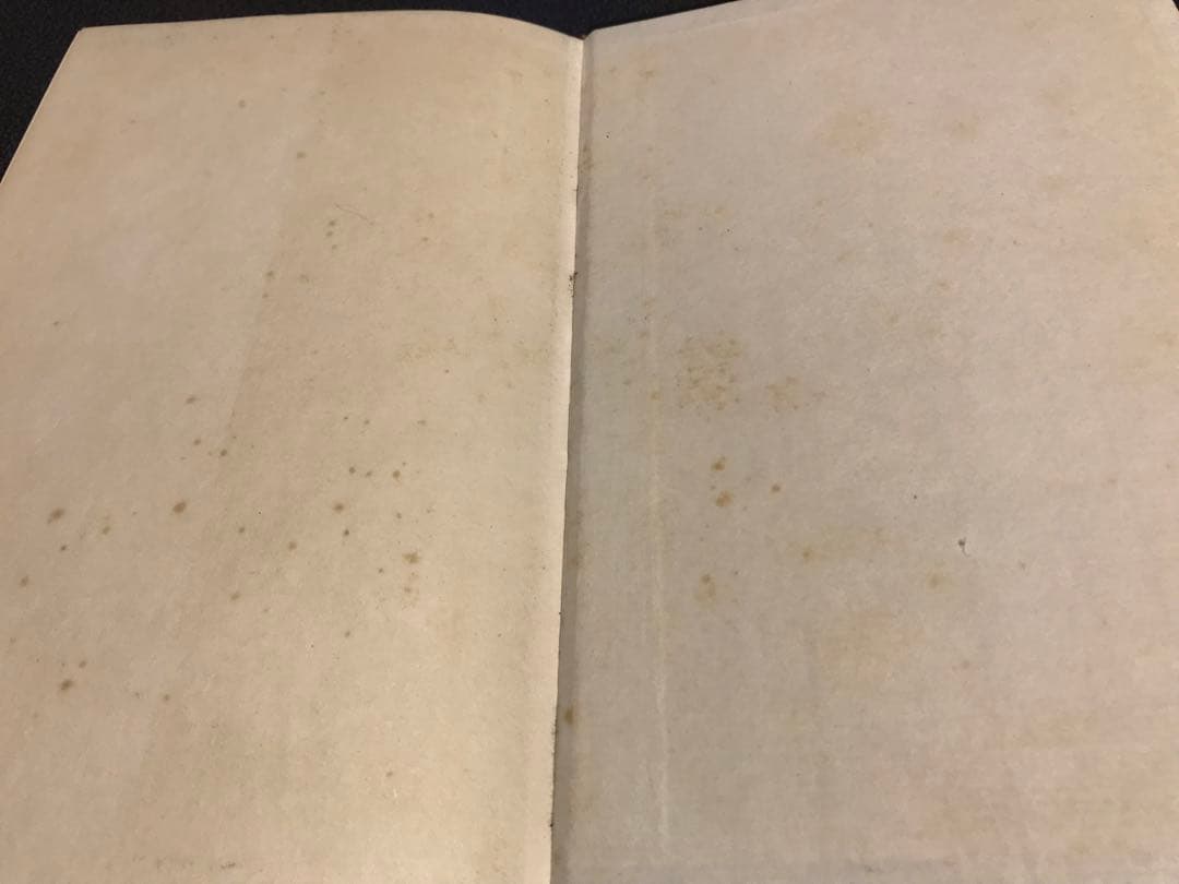 超レア洋書 #4 1810-1850. Schellings Werke.