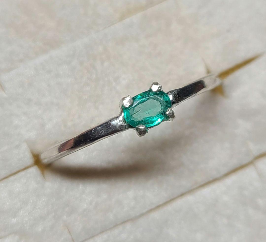 たーちゃんオーダーページ