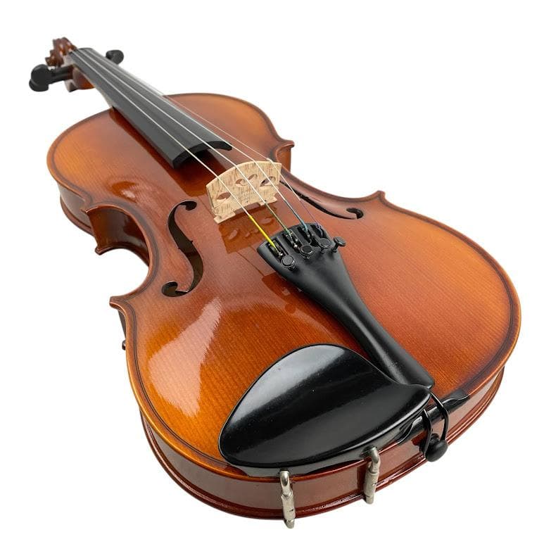 極美品●HORA● Reghin 4/4 ルーマニア製 ホラ レギン バイオリン