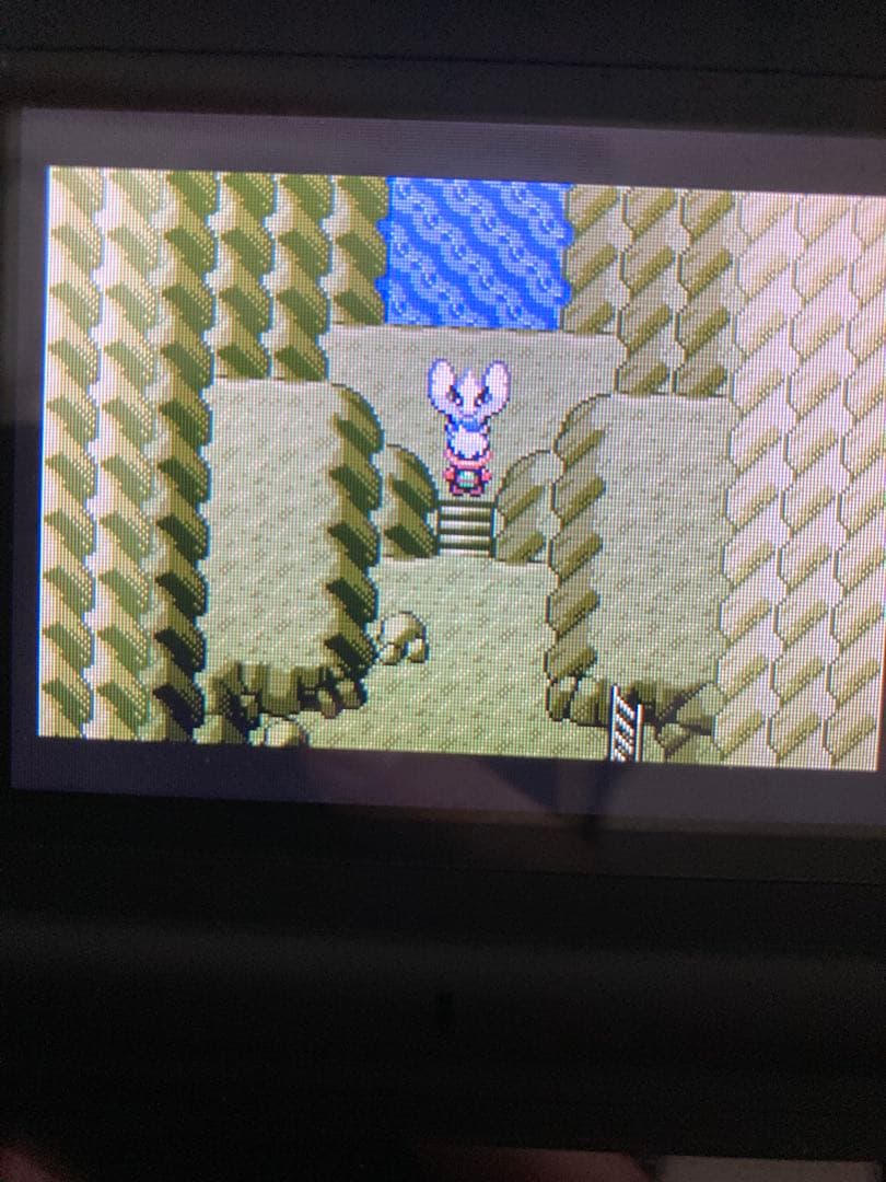 ポケットモンスターエメラルド、ふるびたかいず、しんぴのチケット、むげんのチケット