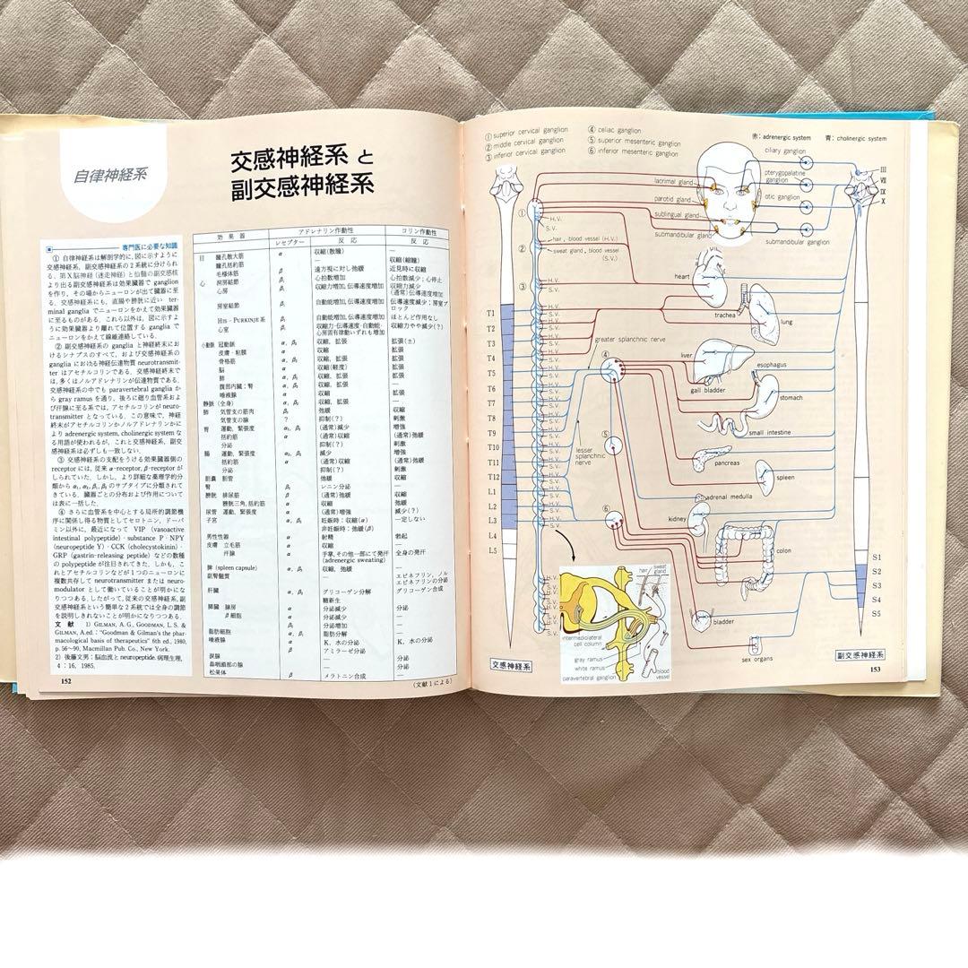臨床のための 神経機能解剖学
