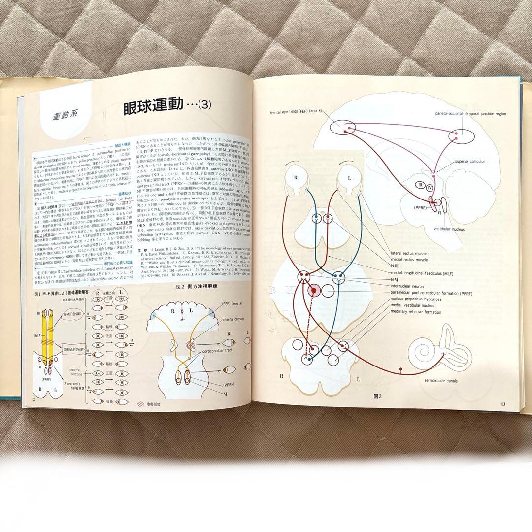 臨床のための 神経機能解剖学