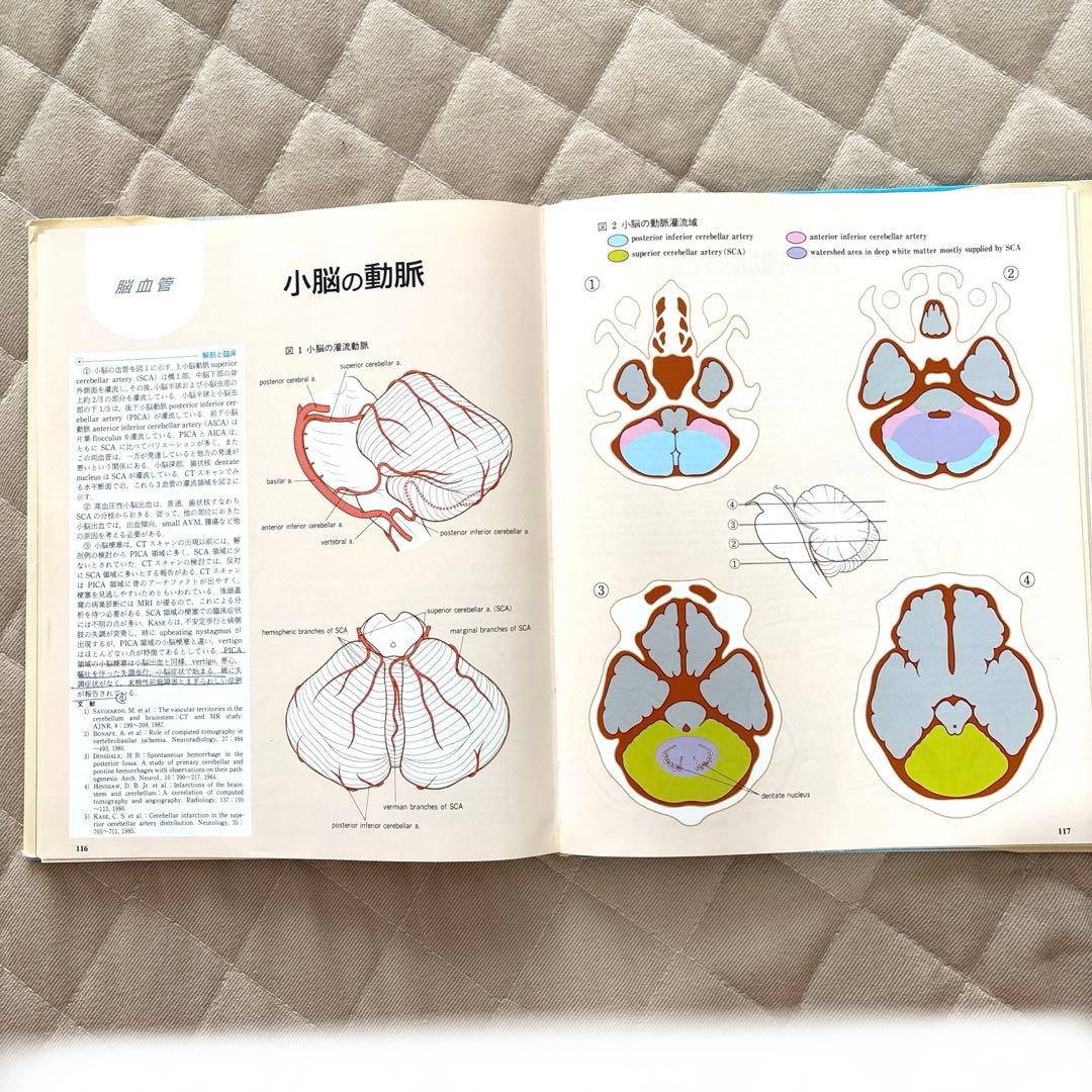 臨床のための 神経機能解剖学